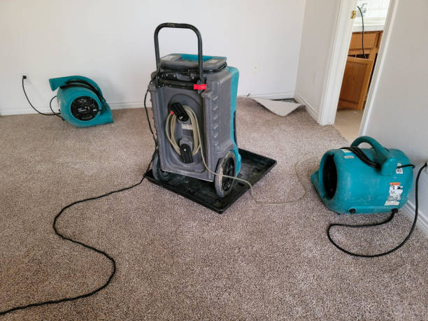 Best Emergency water damage restoration  in Chlicothe, IL