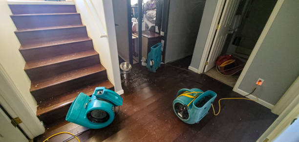 Best Carpet water damage restoration  in Chlicothe, IL
