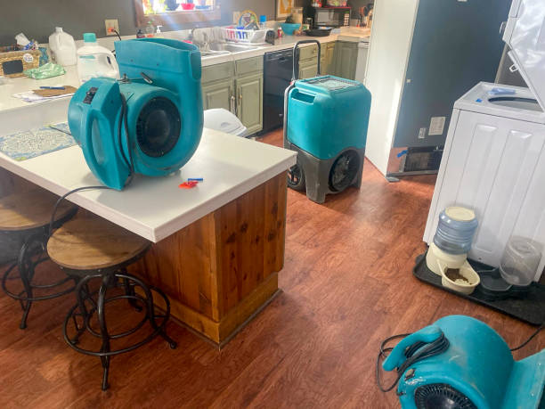 Best Water damage restoration cost  in Chlicothe, IL