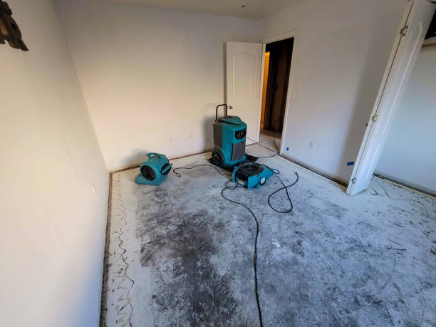 Best Flood restoration services  in Chlicothe, IL