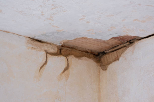 Best Residential water damage restoration  in Chlicothe, IL