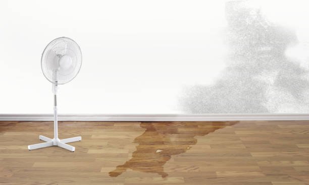  Chlicothe, IL Water damage restoration Pros