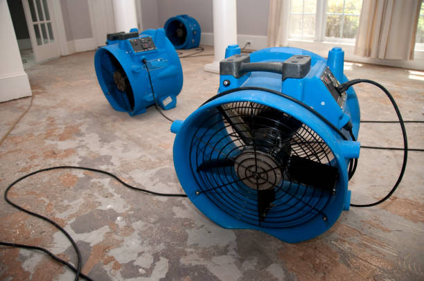 Carpet water damage restoration in Chillicothe, IL
