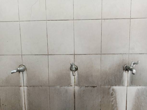 Best 24/7 water damage repair  in Chlicothe, IL