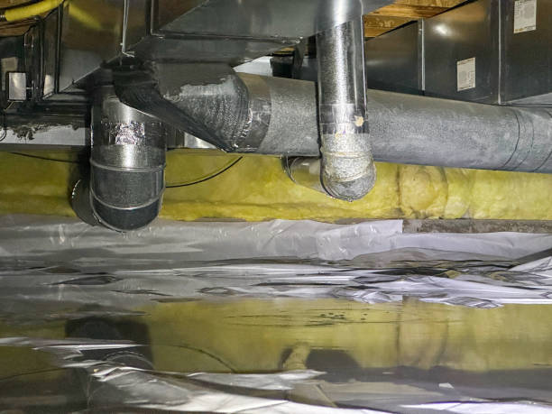 Best Sewage cleanup and water damage restoration  in Chlicothe, IL