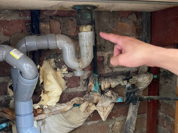 Best Professional water damage repair  in Chlicothe, IL
