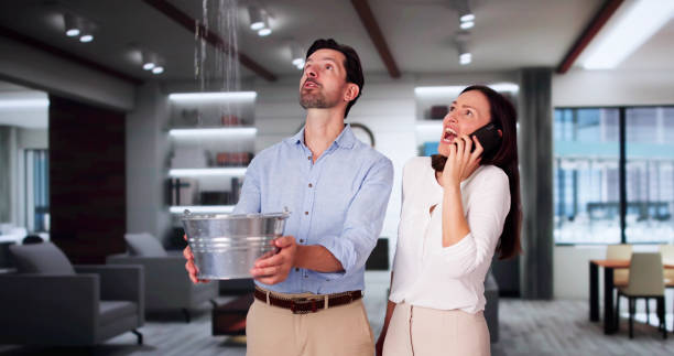 Best Water damage restoration near me  in Chlicothe, IL