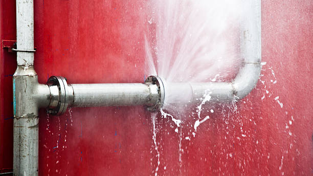 Best Flooded house restoration  in Chlicothe, IL